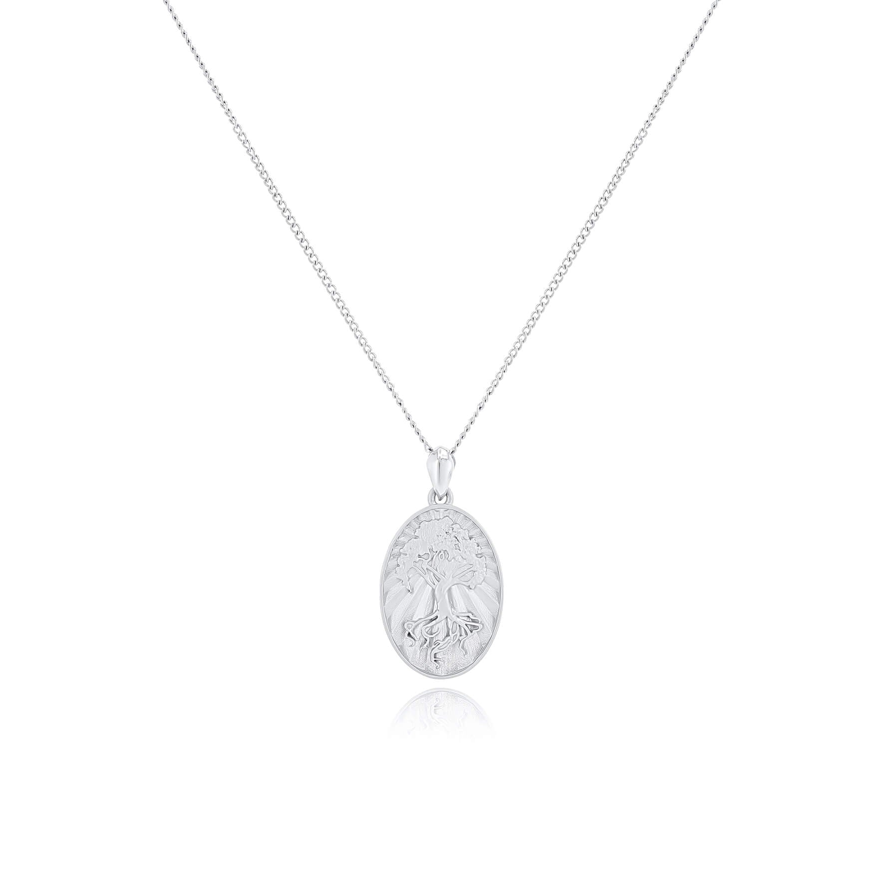SUM of I Ténéré Oval Medal #color_silver