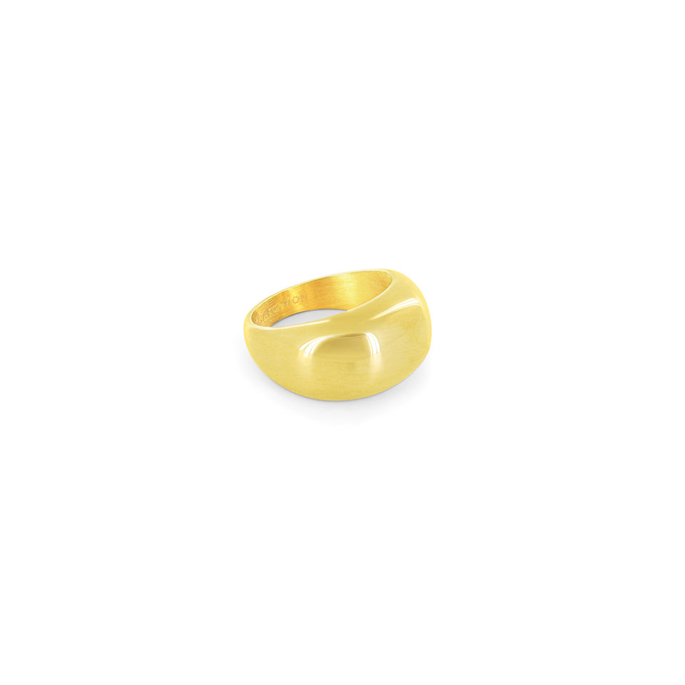 SUM of I Biome Ring #color_gold